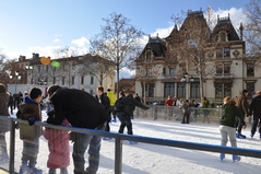 Cliquez sur la vignette pour l'agrandir
